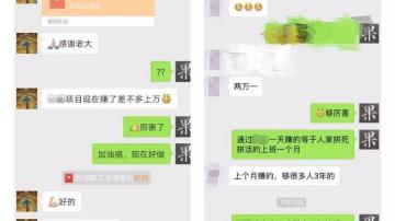 2019年创业十大骗局：私域流量、刚需副业、区块链、下沉市场等