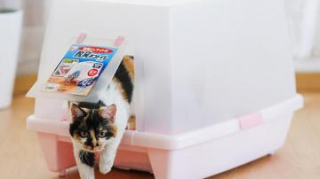 养猫神器！全封闭式猫砂盆，比智能猫砂盆便宜多了，密封猫厕所！