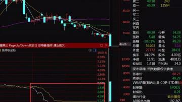非法倒卖近亿条公民信息，考拉征信被查！多家A股公司涉事！