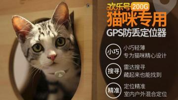 猫丢了找回来的巧方法大汇总。怎样防止猫咪走失？