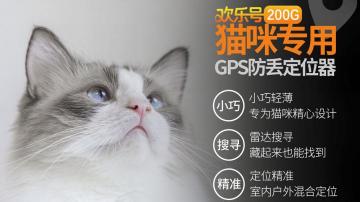 回家过年了，猫怎么办？带回家还是寄养？猫咪独自在家如何防走失