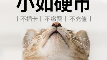 猫咪跑丢了怎么样找回来？用MAKE1 GC50宠物防丢器，丢了也能找到