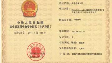 转基因农作物到底安全不安全？国产转基因将再获发3张安全证书！