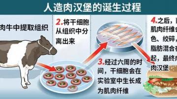 全球人造肉行业详解：人造肉有什么好处、有哪些企业和投资潜力？