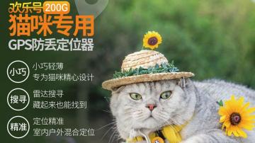 猫咪走丢了怎么办？应该怎么寻找？怎样防止猫咪跑丢？