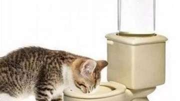 养猫神器！自动饮水机、自动猫砂盆、宠物烘干机、猫咪防丢器等等