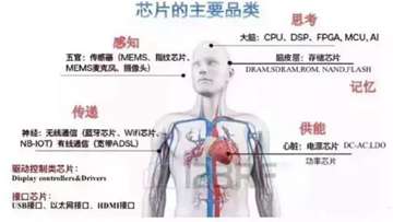 中国芯片产业链，龙头企业排行：设计、晶圆、封测、IP等