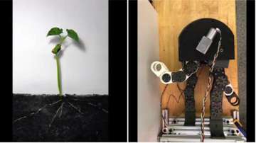麻省理工团队研发“生长机器人”像植物萌芽，可挤入缝隙执行任务